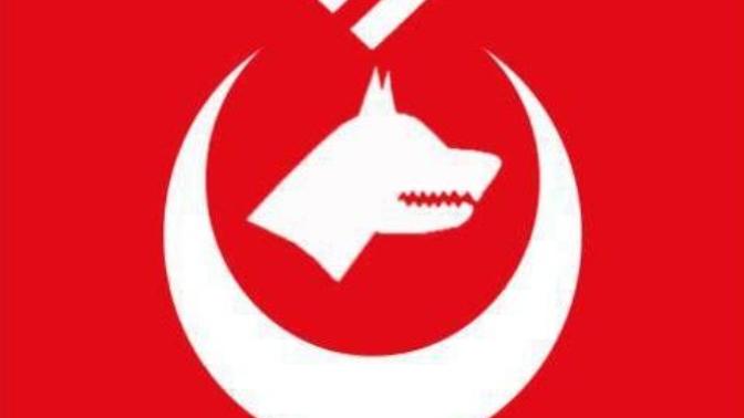 Türkiye de Nasyonal Sosyalist bir parti iktidara geçerse ne olur?