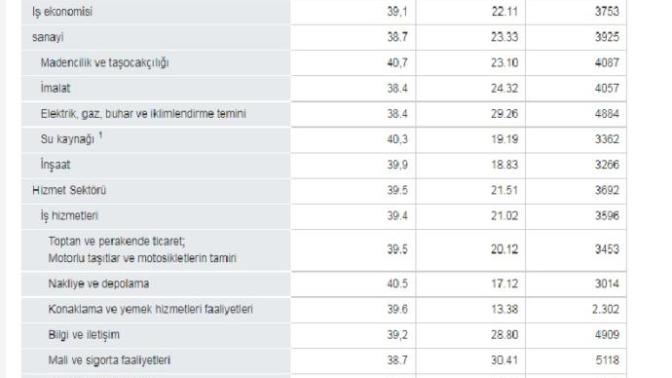 Almanya' daki Çalışma Saatlerini ve Maaşları Nasıl Buldunuz?