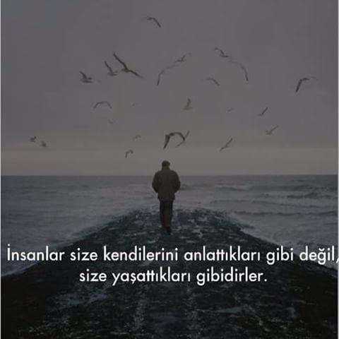 Elleriyle seni öldüren birisine neden izin verirsin; sana asla kıymaz diye mi yoksa çok sevdiğinden mi?, insan sevdiğine kıyar mı?