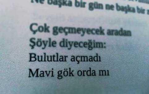 Şiirlere ilginiz var mı?