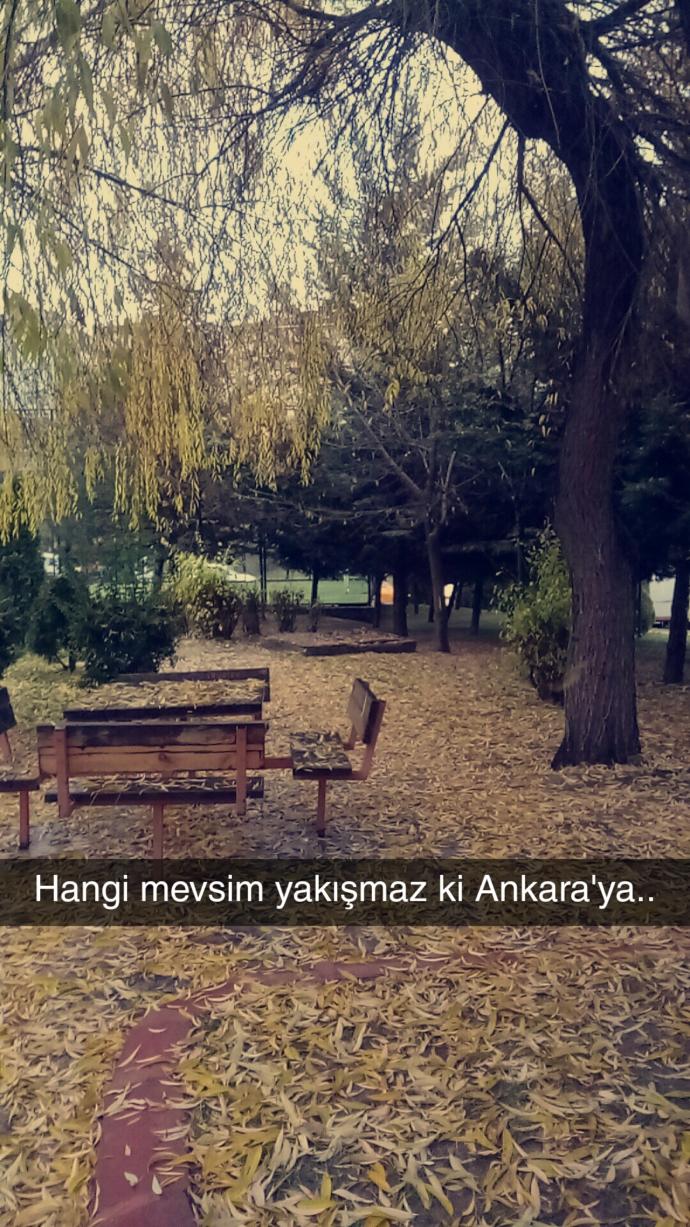 Gün aydı mı sizin için de?