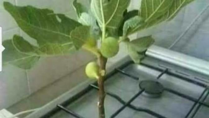 Eşine kredi kartı veren adamın hazin sonu?