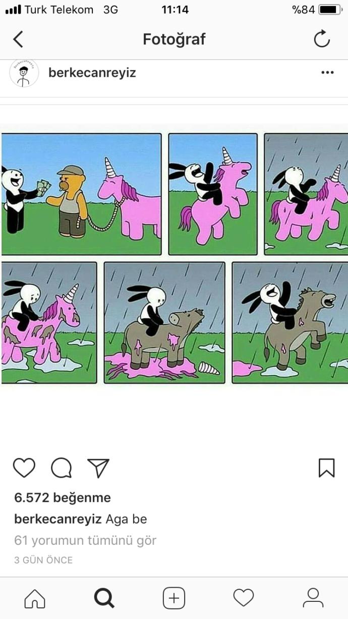 Hiç Unicorn sandığınız At, eşek çıktı mı ??