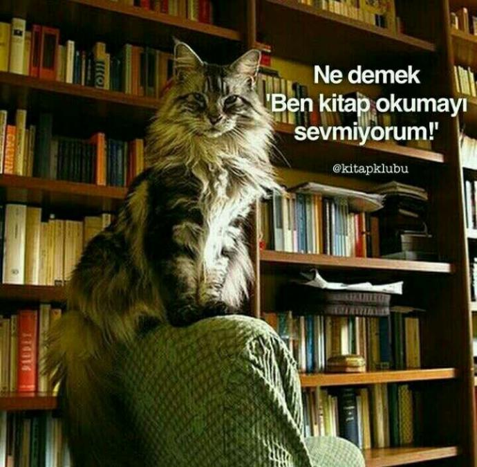 Kitap okumayı seviyor musunuz??