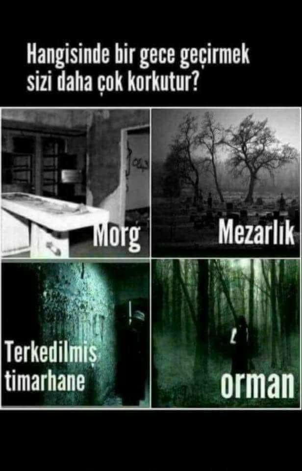 Hangisinde bir gece geçirmek sizi daha çok korkutur?