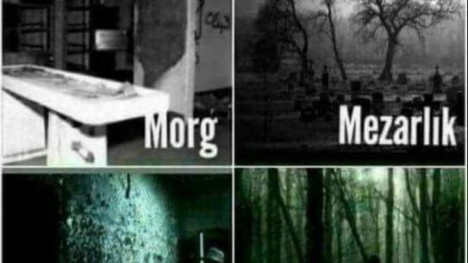 Hangisinde bir gece geçirmek sizi daha çok korkutur?