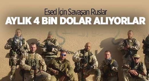 Amerikada olduğu gibi Turkiyede paralı asker varmı?