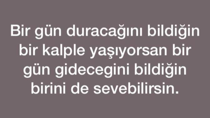 Sen hiç aşık oldun mu , sen aşk nedir bilir misin?