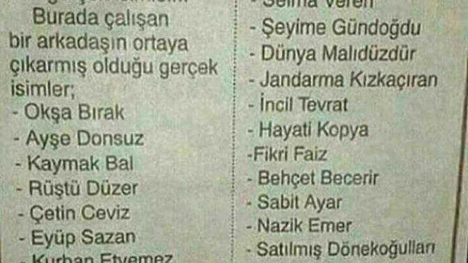Komik Türk isimleri hakkında ne düşünüyorsunuz?