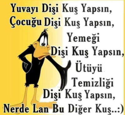 Yuvayı Dişi Kuş mu Yapar Yuvayı Dişi Kuş mu Yapar
