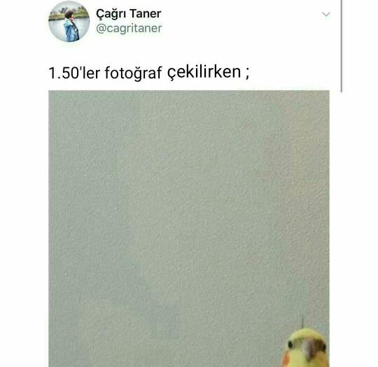1.50 boyundaki kızlar desem ne dersiniz?