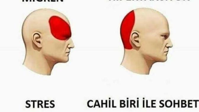 Başınızın en çok neresi ağrır (resimli) :D :D?