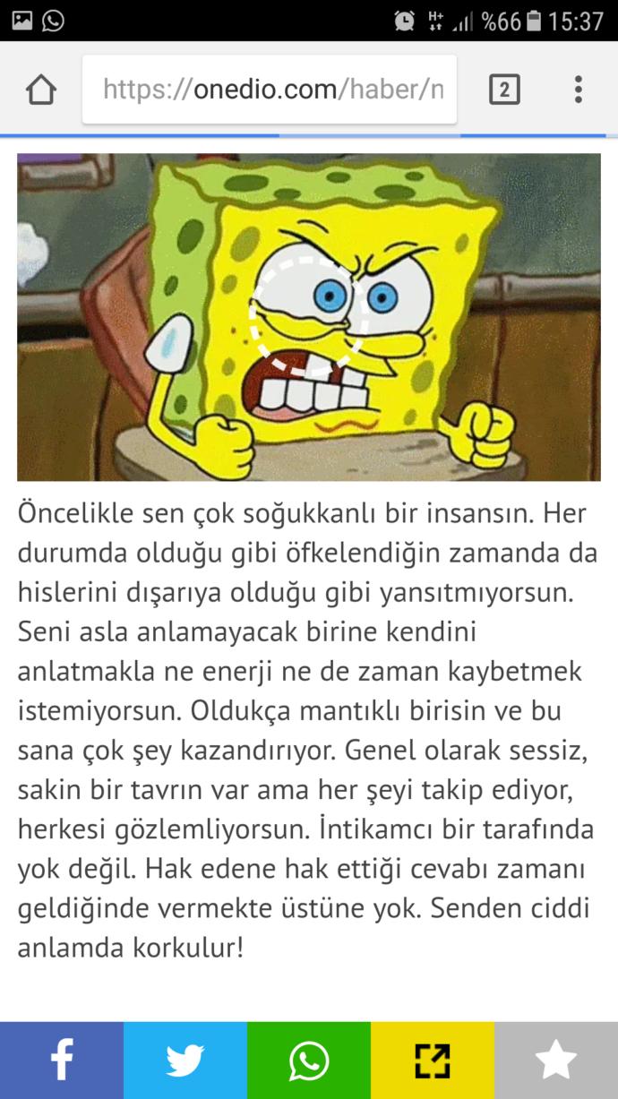 Ne Kadar Agresifsin?