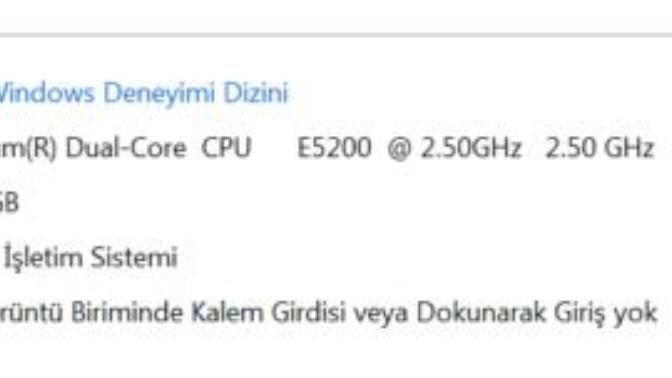 THE SİMS 4 KALDIRIR MI?