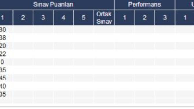 Sınıfta kalmaktan korkuyorum bıktım artık resimli?