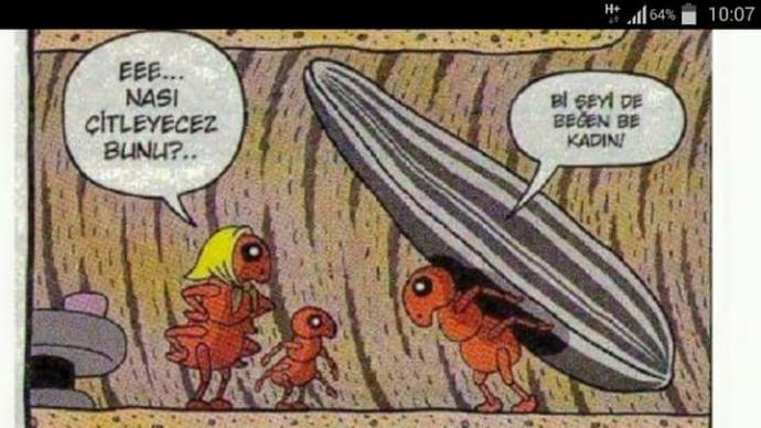 Etrafınızda hiçbir şeyden memnun olmayan her şeye burun kıvıran insanlar var mı?