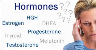 NORADRENALİN hormonu ve LEPTİN hormonları ne işe yarar?