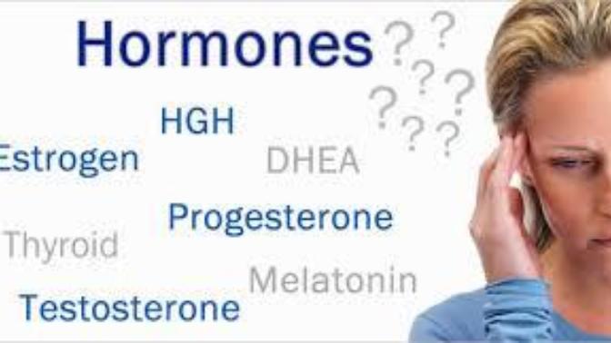 NORADRENALİN hormonu ve LEPTİN hormonları ne işe yarar?