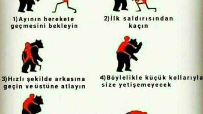 Olasi ayi saldirisinda yapmaniz gerekeni biliyormusunuz?