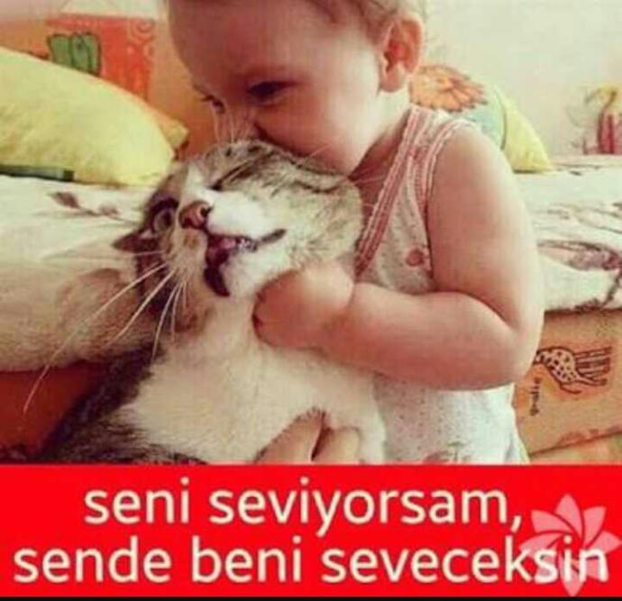 Olmuyorsa niye zorluyor sunuz??