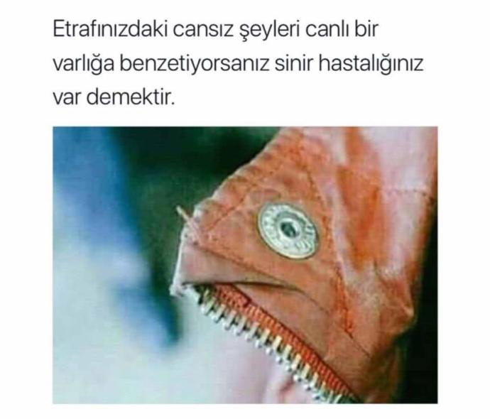 Cansız şeyleri canlı bir varlığa benzettiğiniz oluyor mu?