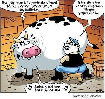 Cinsiyetinizden memnun musunuz?