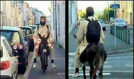 Fransadaki bu olay hakkında ne düşünüyorsunuz??