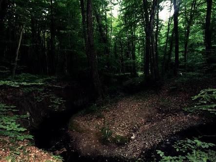 İstanbul Belgrad ormanı paranormal olayları gerçek mi?