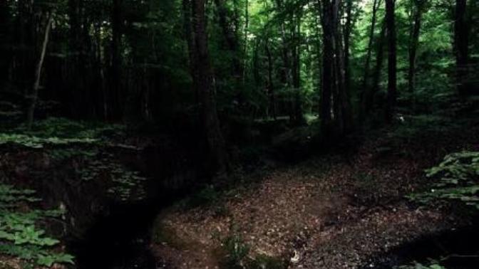 İstanbul Belgrad ormanı paranormal olayları gerçek mi?
