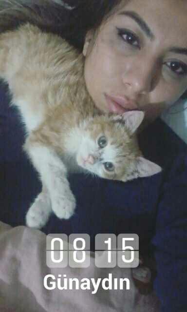 Sizce de yavru kedi dünyanın en tatlı şeyi degil mi??