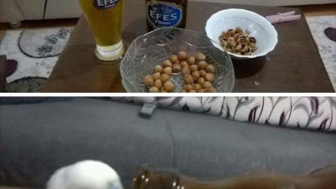 Hayvanlar bira içer mi?