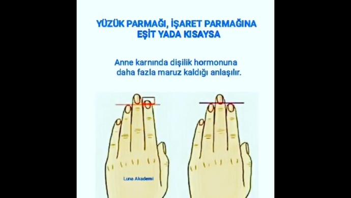 Östrojen ve Testesteron Hormon seviyelerinizi parmaklarınızla öğrenmek mümkünmüdür?