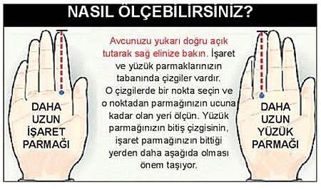 Östrojen ve Testesteron Hormon seviyelerinizi parmaklarınızla öğrenmek mümkünmüdür?