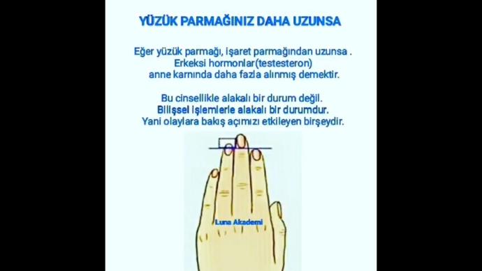 Östrojen ve Testesteron Hormon seviyelerinizi parmaklarınızla öğrenmek mümkünmüdür?