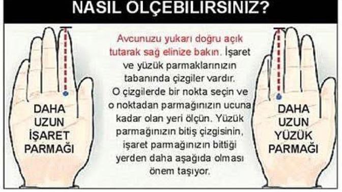Östrojen ve Testesteron Hormon seviyelerinizi parmaklarınızla öğrenmek mümkünmüdür?