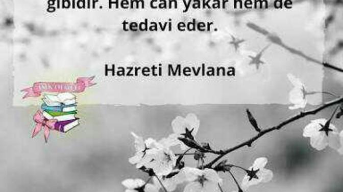 Ne kadar sabırlısınız?