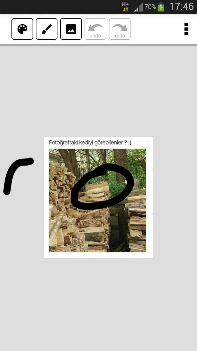 Fotoğraftaki kediyi görebilen var mı?