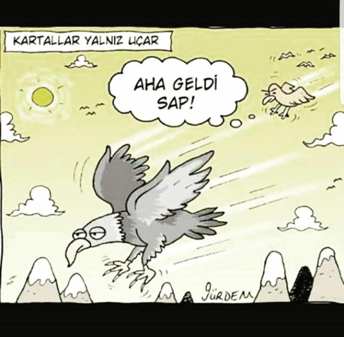 Kendini bir hayvana benzetsen bu hangi hayvan olurdu ve neden?