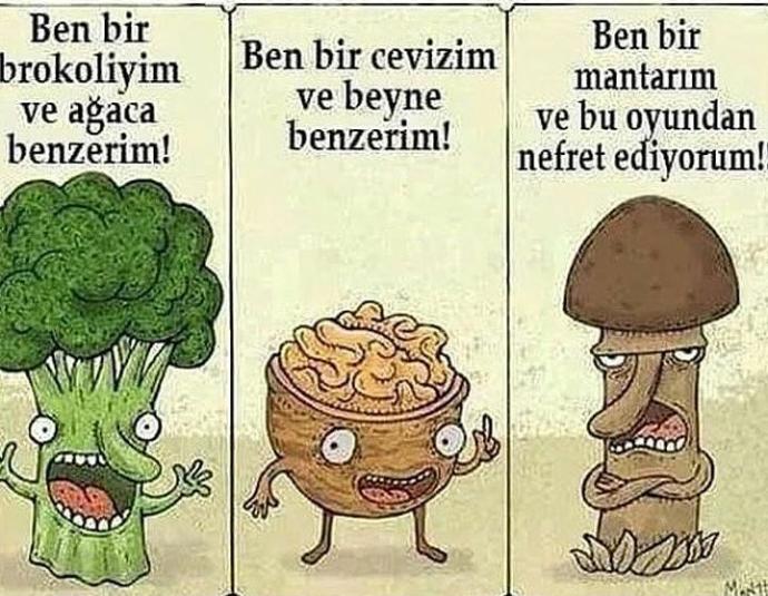 En sevdiğin sebze-meyve hangisi ve neye benziyor?