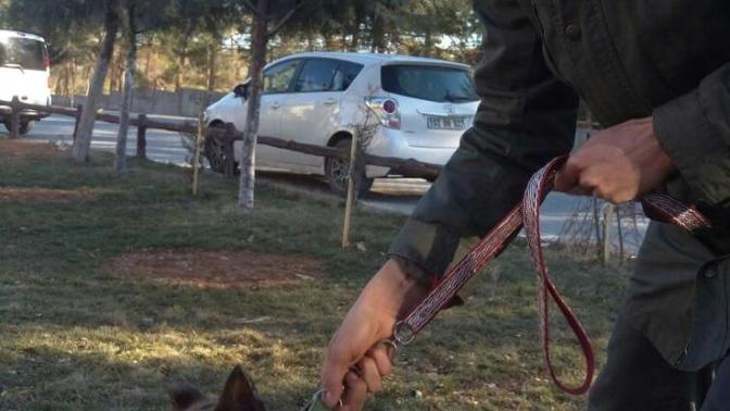 Köpeğiniz dünya üzerinde sizi kendinizden biIe daha çok sevecek tek kişidir?
