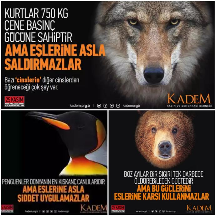 VanBelediyesi ve KADEM ortaklığıylaYapılan “Adam Olmanızı Beklemiyoruz, Hayvan Olun Yeter” farkındalık çalışmasını nasıl buldunuz?