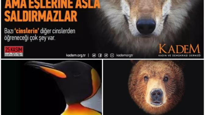 VanBelediyesi ve KADEM ortaklığıylaYapılan “Adam Olmanızı Beklemiyoruz, Hayvan Olun Yeter” farkındalık çalışmasını nasıl buldunuz?
