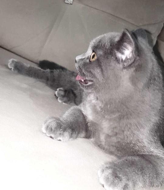 Hayırlı geceler arkadaslar. Yardımcı olur musunuz ? Soru asağıda 👇👇?