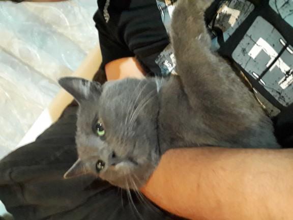 Hayırlı geceler arkadaslar. Yardımcı olur musunuz? Soru asağıda 👇👇?