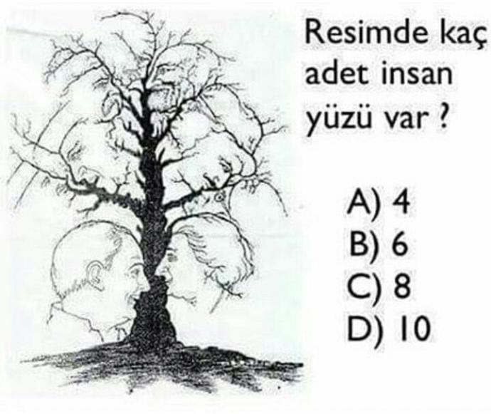 Hangi kova ilk dolar ve kaç tane insan yüzü vardır?