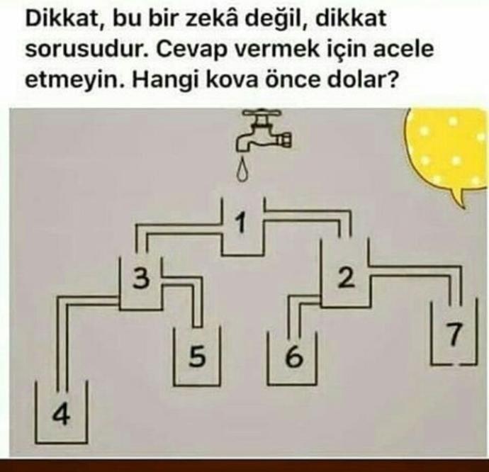 Hangi kova ilk dolar ve kaç tane insan yüzü vardır?