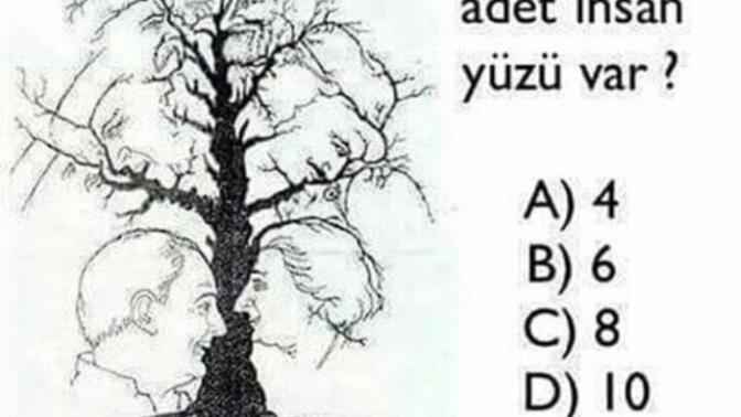 Hangi kova ilk dolar ve kaç tane insan yüzü vardır?