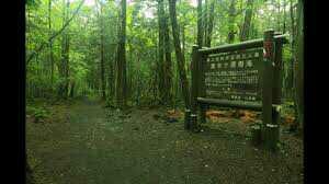Aokigahara ormani(intihar ormani) hakkinda ne dusunuyorsunuz??