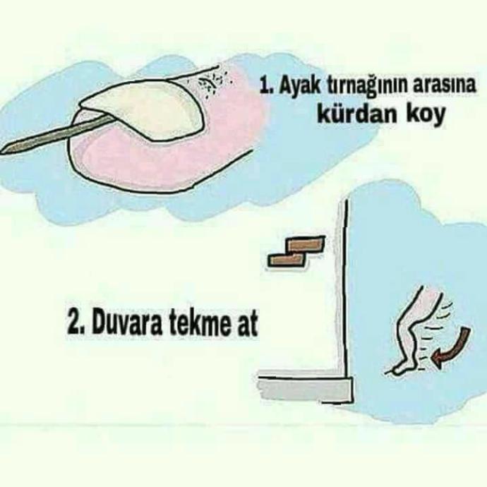 Ayak tırnağının arasına kürdan koyup duvara vursak ne kadar acır acaba 🤔 ?