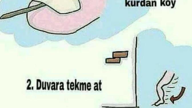 Ayak tırnağının arasına kürdan koyup duvara vursak ne kadar acır acaba 🤔 ?